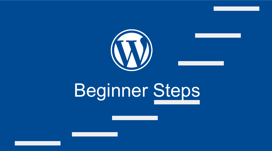  WordPress Website Beginners