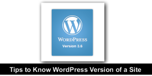 WordPress Version a site is running