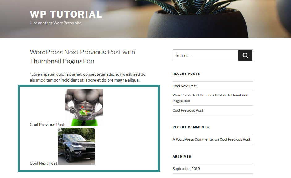 How to Create WordPress Next Previous Post with Thumbnail Pagination