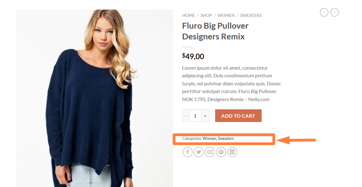 Remove Category from Product Page Woocommerce Step by Step 
