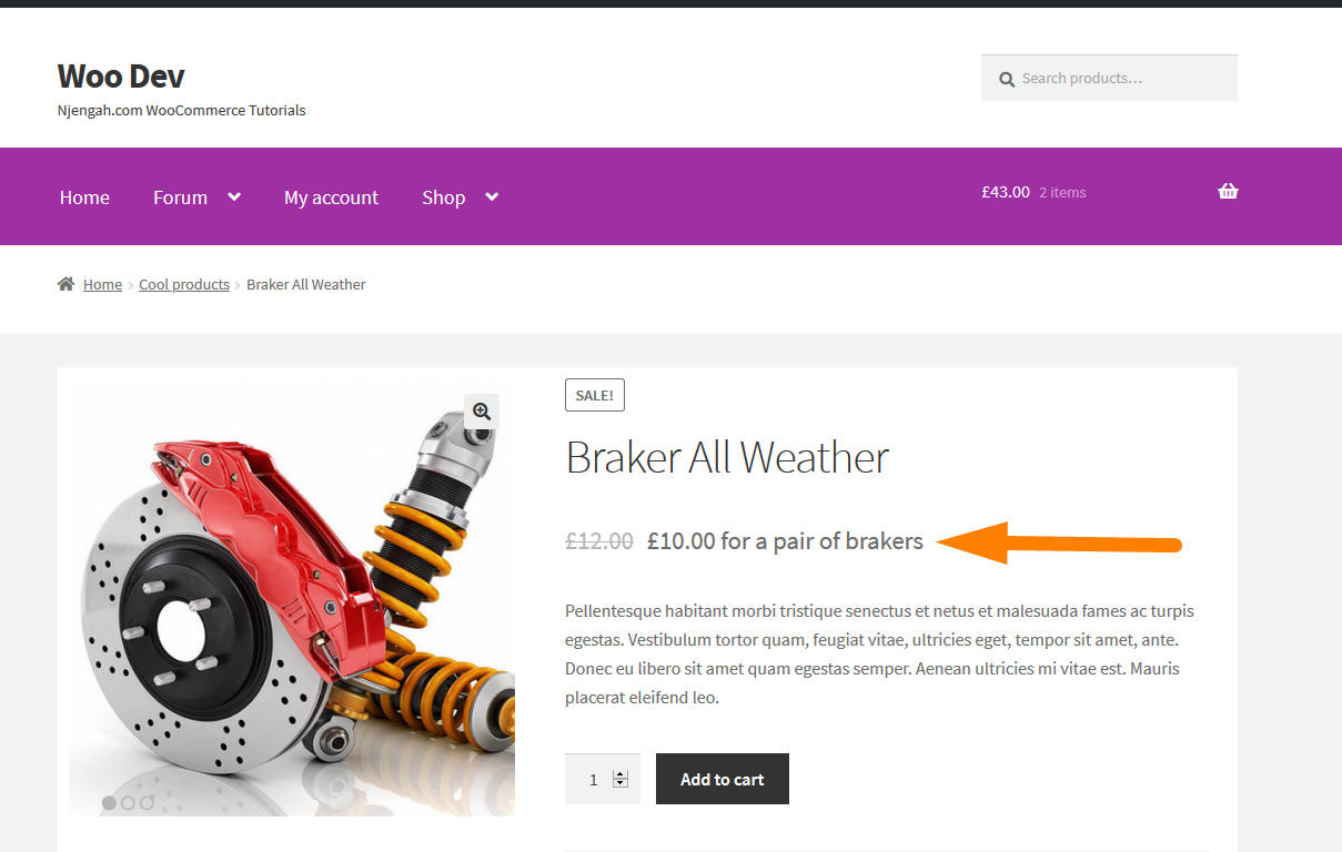 WooCommerce Price Suffix: How to Add Text after Price in WooCommerce 