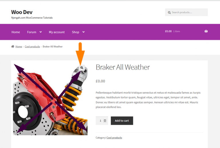 How To Remove Zoom Effect On WooCommerce Product Image