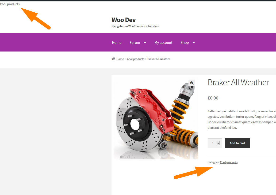How to Get Current Product Category Name in WooCommerce