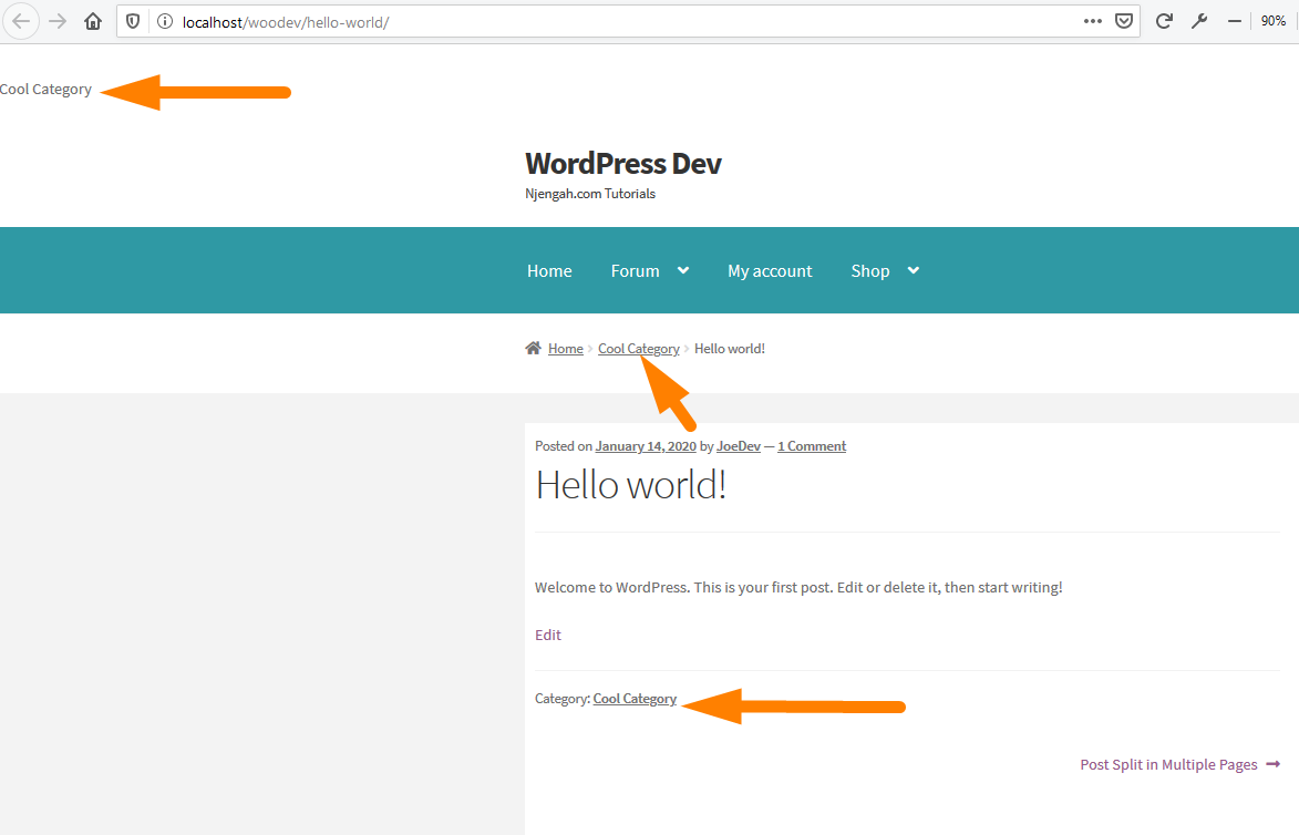 display category in WordPress 