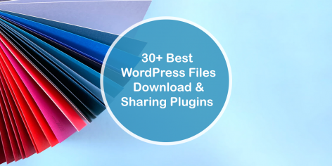 Best WordPress Downloads Plugins