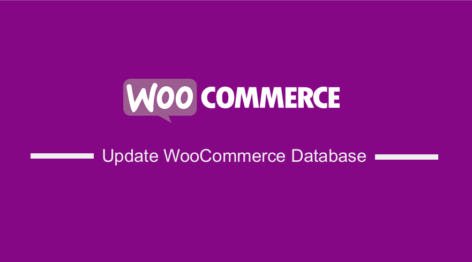 Update WooCommerce Database