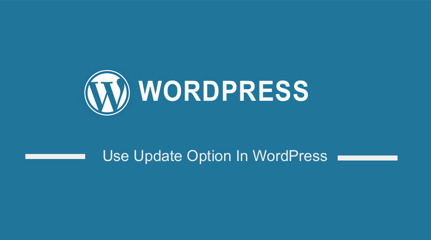 How to Use Update Option In WordPress