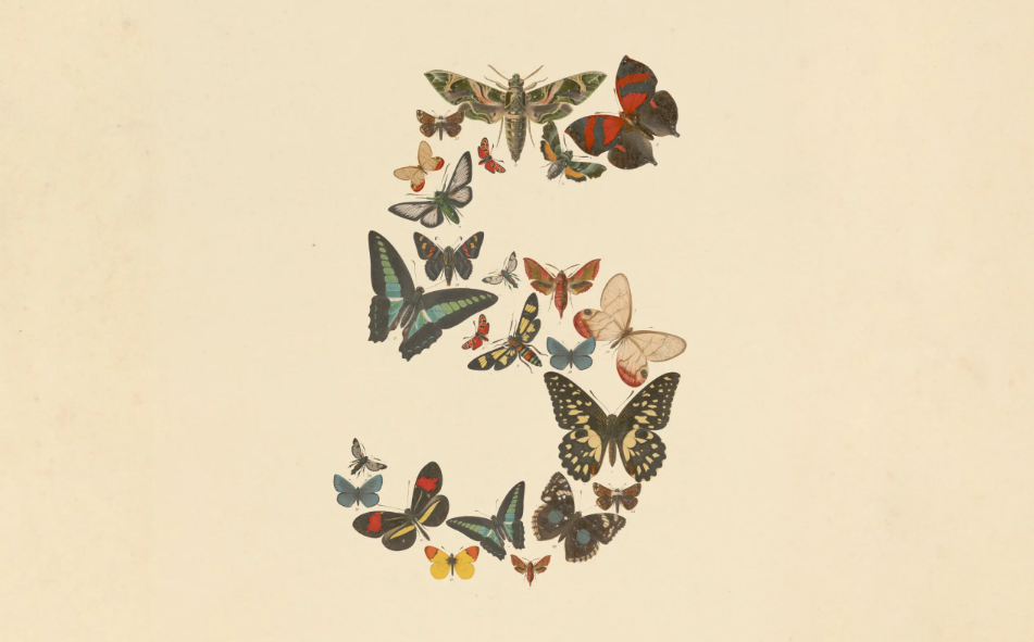 claude fable 5